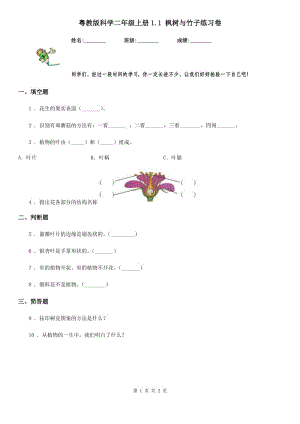 粵教版 科學(xué)二年級(jí)上冊(cè)1.1 楓樹與竹子練習(xí)卷