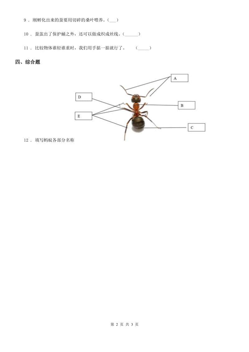 2020年教科版科学一年级下册2.2 校园里的动物练习卷（II）卷_第2页