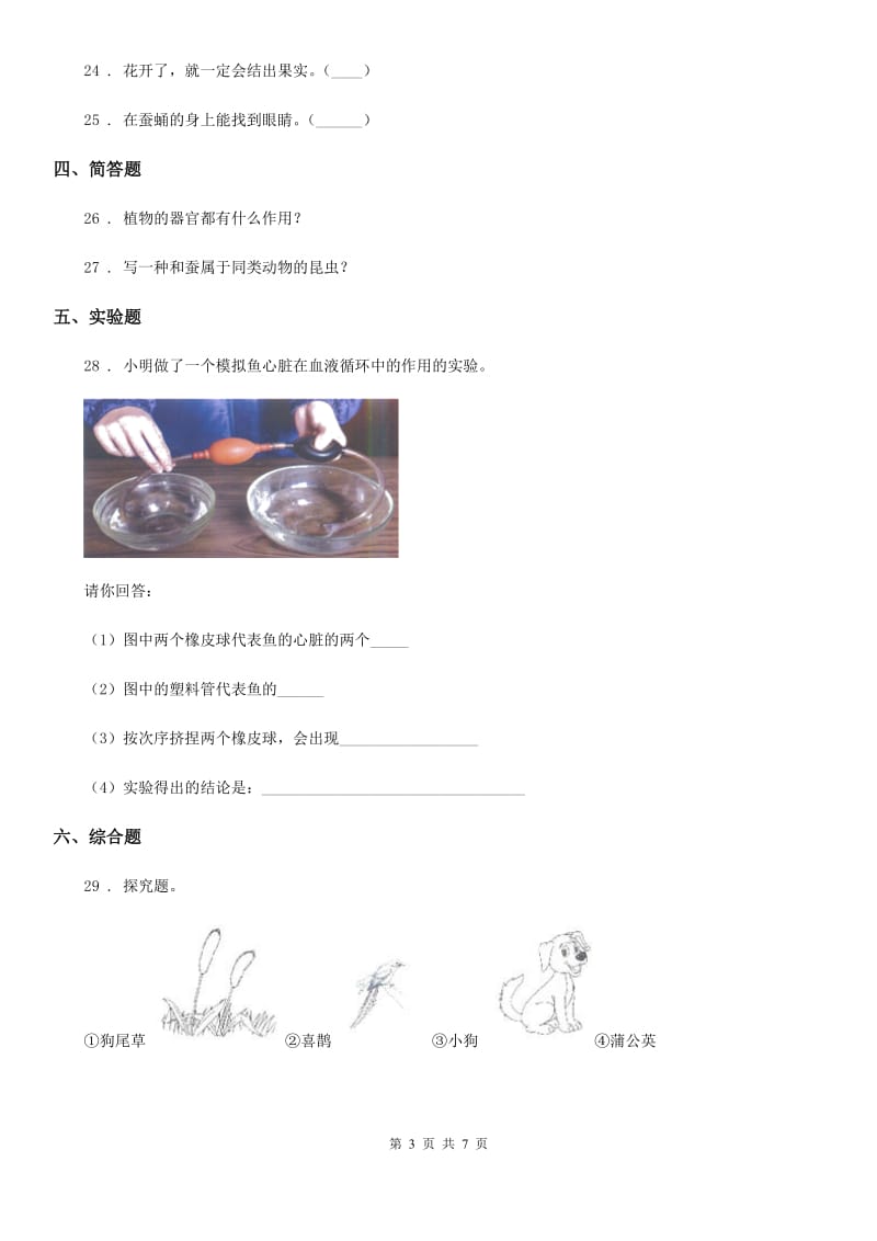 2019版粤教版四年级下册期中考试科学试卷B卷_第3页