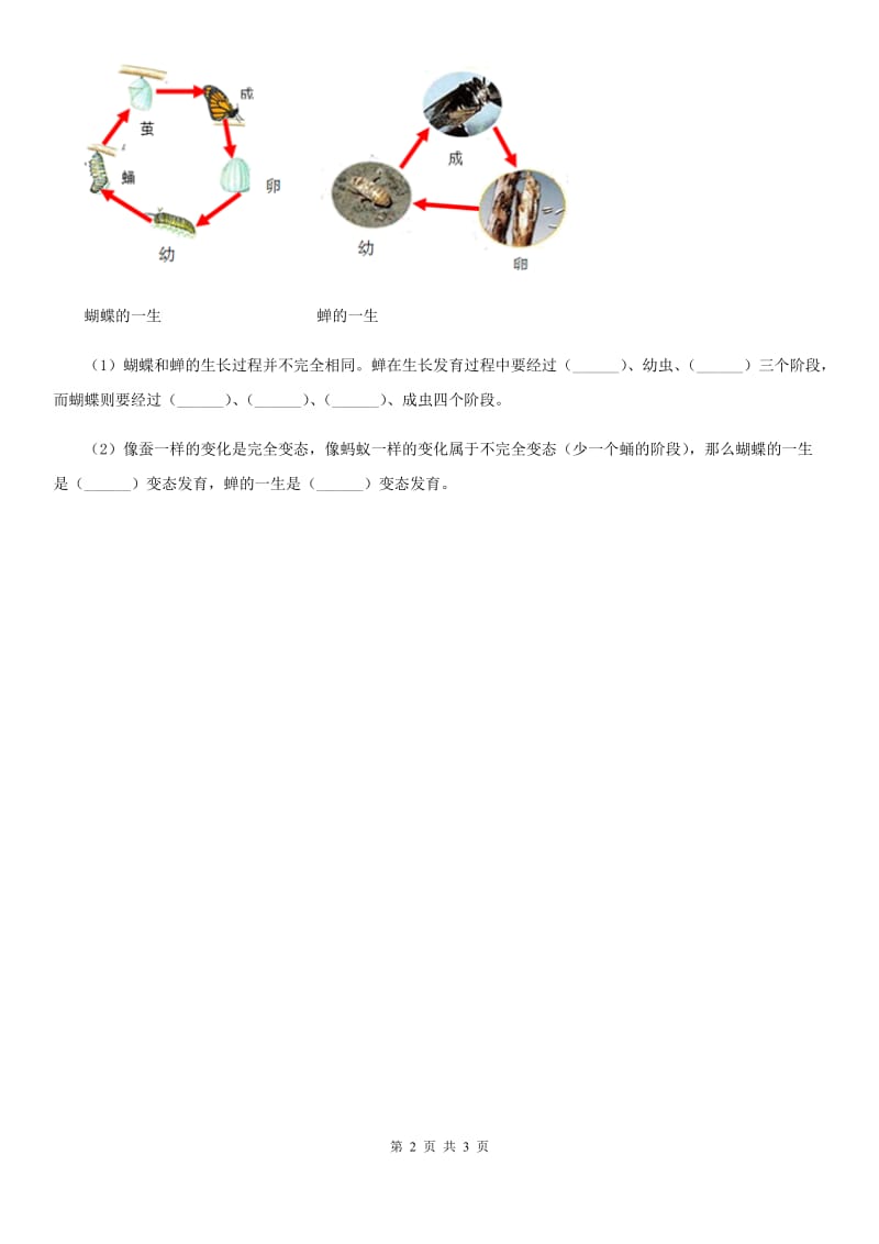 教科版 科学一年级下册2.4 给动物建个“家练习卷_第2页