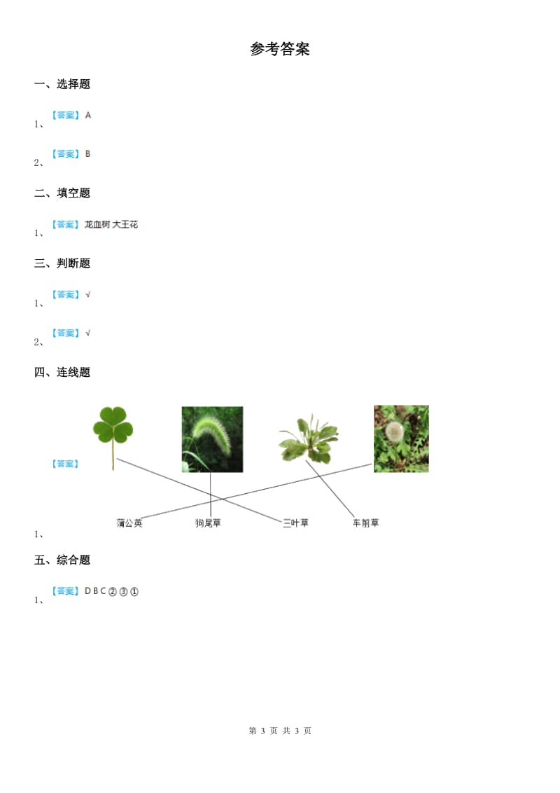 2019-2020学年教科版科学一年级上册1.2 观察一棵植物练习卷（II）卷_第3页