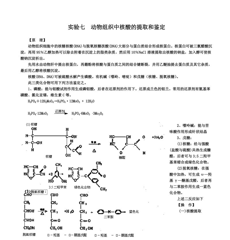 实验九-动物组织中核酸的提取和鉴定_第1页