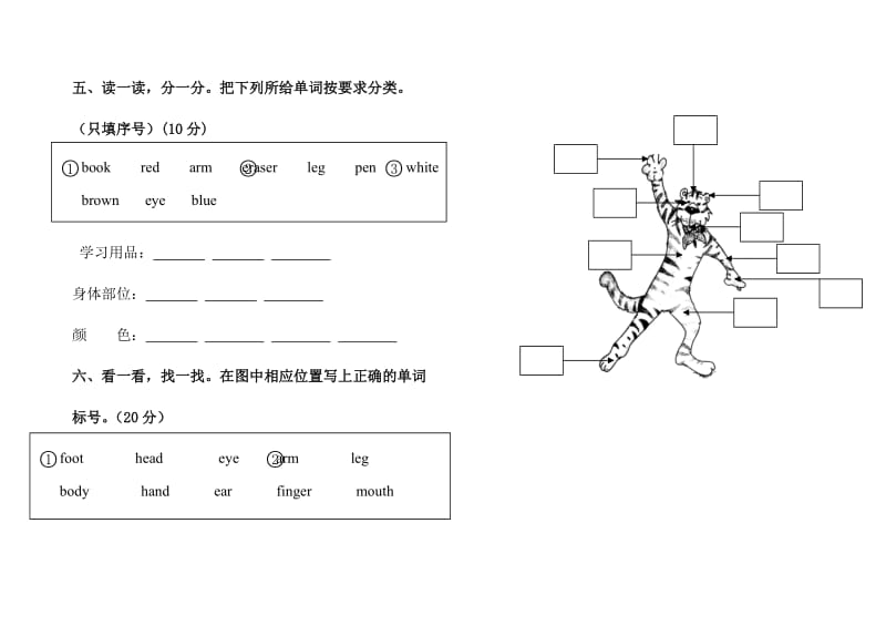 人教版小学三年级英语上册期中试卷_第3页