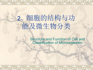 《細胞的結(jié)構與功能》PPT課件