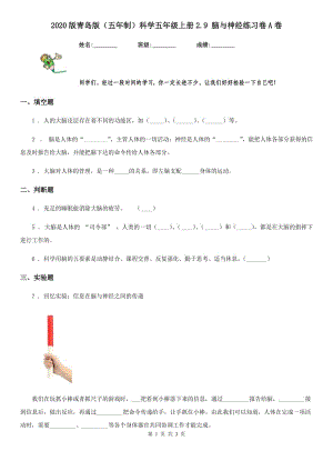 2020版 青島版 （五年制）科學(xué)五年級上冊2.9 腦與神經(jīng)練習(xí)卷A卷