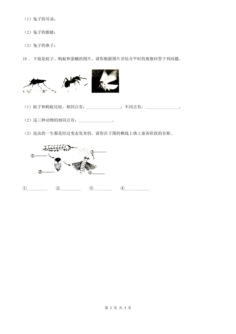 粤教版 科学二年级下册1.2 校园里的蚂蚁练习卷_第3页