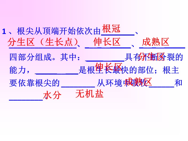 《生殖器官的生长》PPT课件_第1页