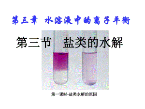 《鹽類水解》PPT課件