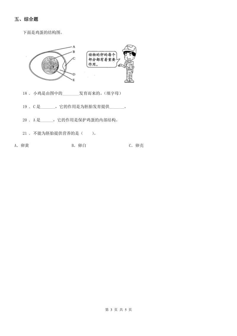 教科版科学三年级下册2.2 认识其他动物的卵练习卷_第3页