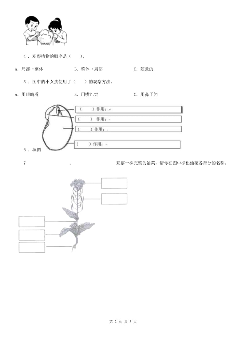 教科版科学一年级上册1.2 观察一棵植物练习卷（1）_第2页