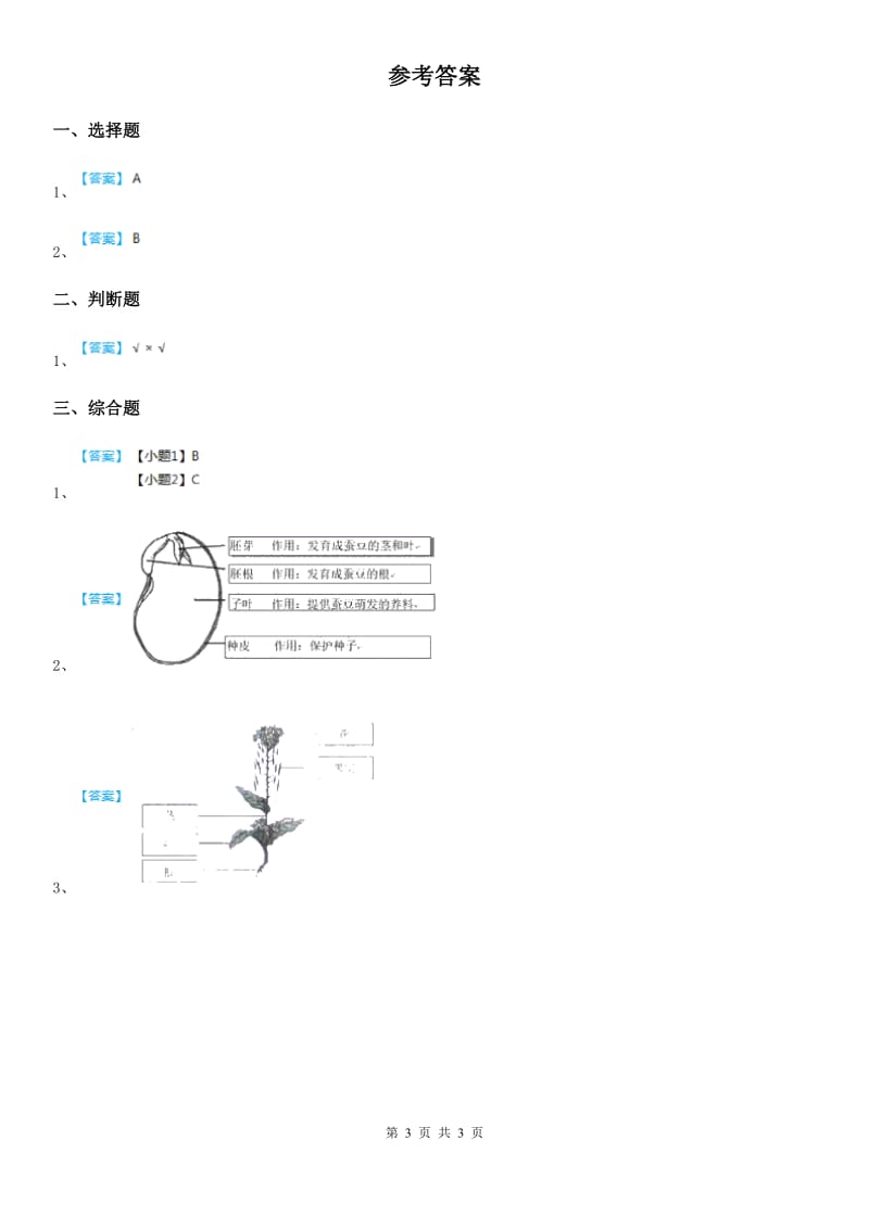 教科版科学一年级上册1.2 观察一棵植物练习卷（1）_第3页