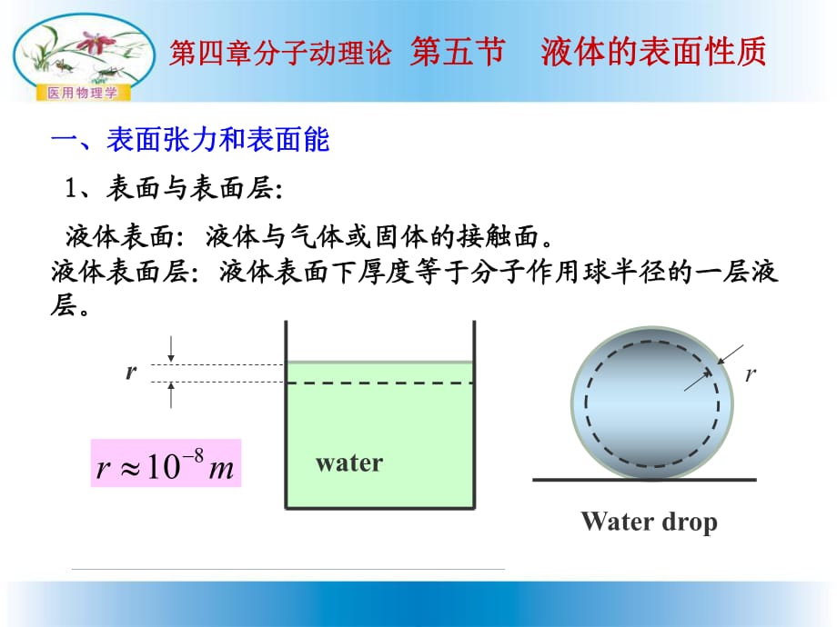 《液體的表面性質(zhì)》PPT課件_第1頁