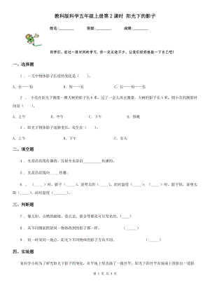 教科版 科學(xué)五年級(jí)上冊(cè)第2課時(shí) 陽(yáng)光下的影子