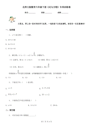 北師大版數(shù)學六年級下冊《式與方程》專項訓練卷