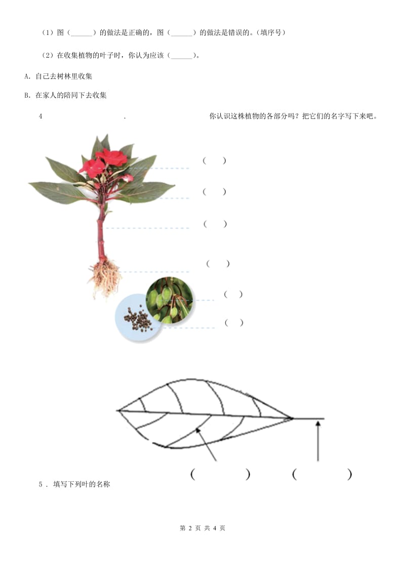 2019-2020学年教科版科学一年级上册1.3 观察叶练习卷（1）C卷_第2页