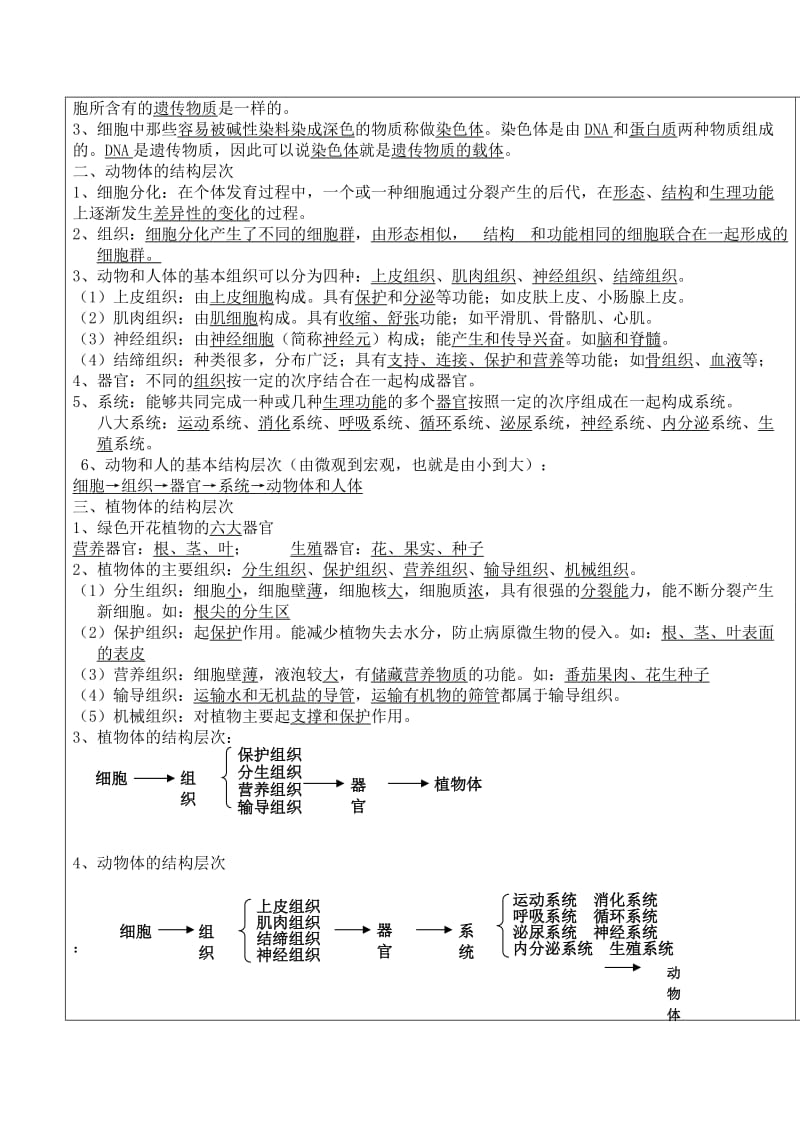 细胞怎样构成生物体教案_第2页