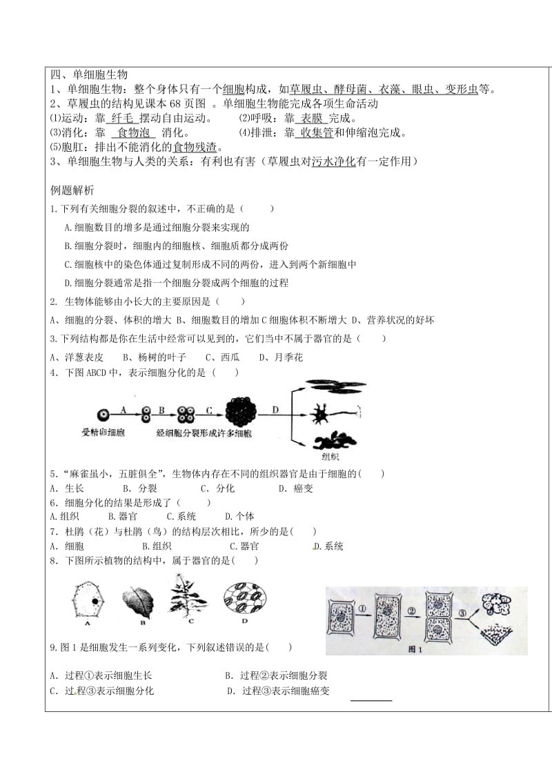 细胞怎样构成生物体教案_第3页