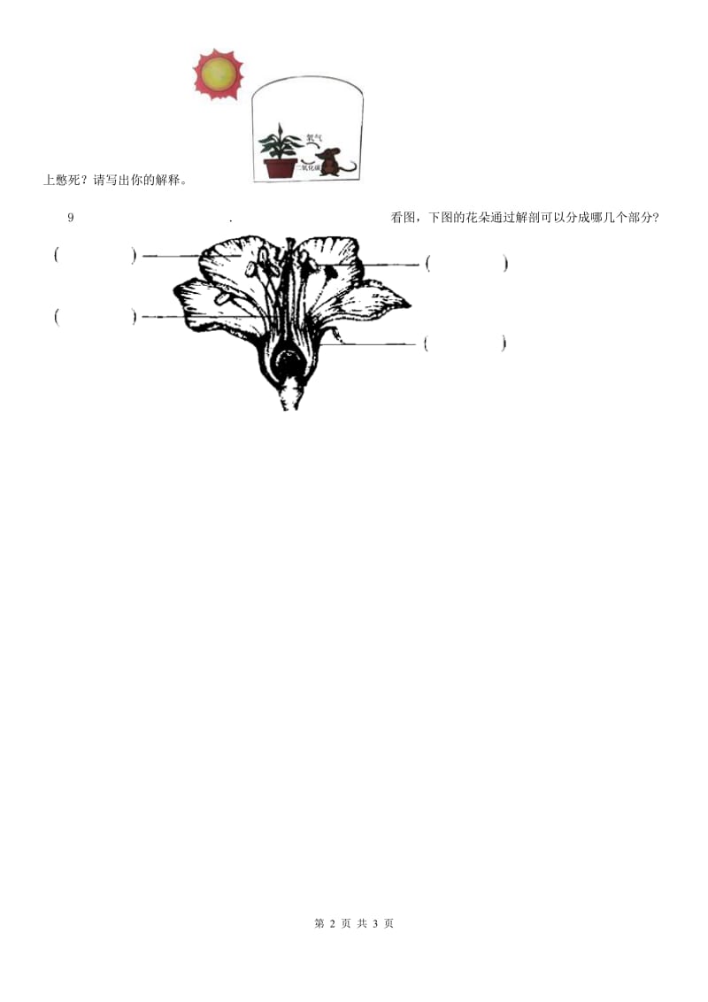 教科版科学一年级上册第一单元全练全测_第2页