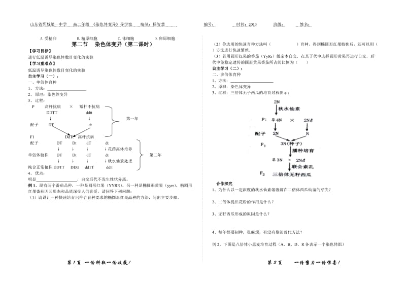 染色体变异导学案-(2)_第3页