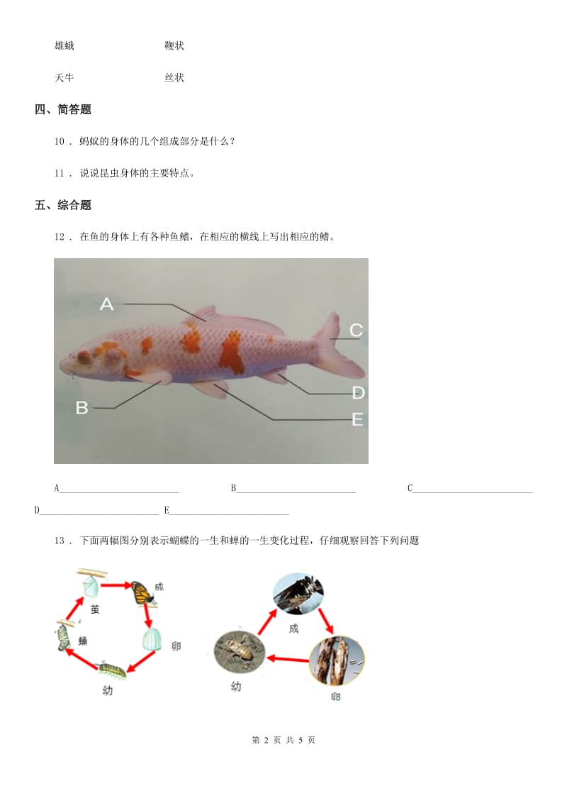 2020年教科版科学一年级下册第二单元测试卷(A卷)（II）卷_第2页