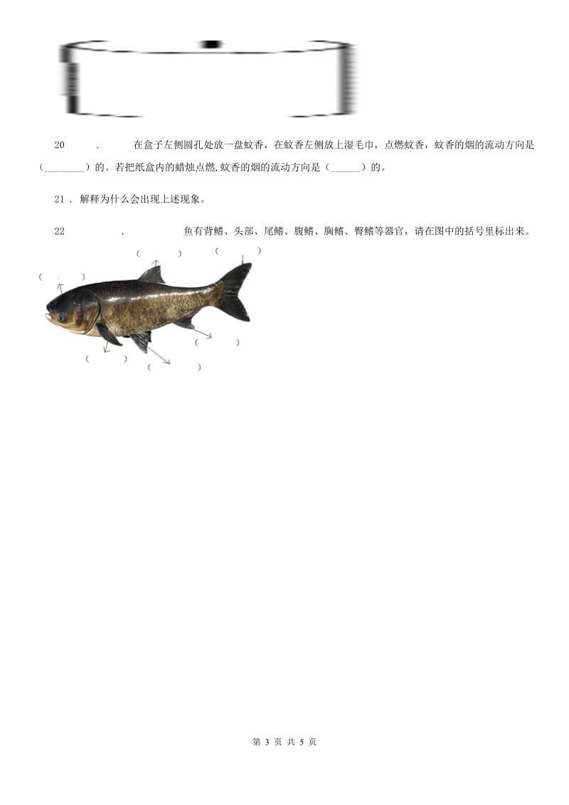 人教统编版三年级上册期中考试科学试卷_第3页