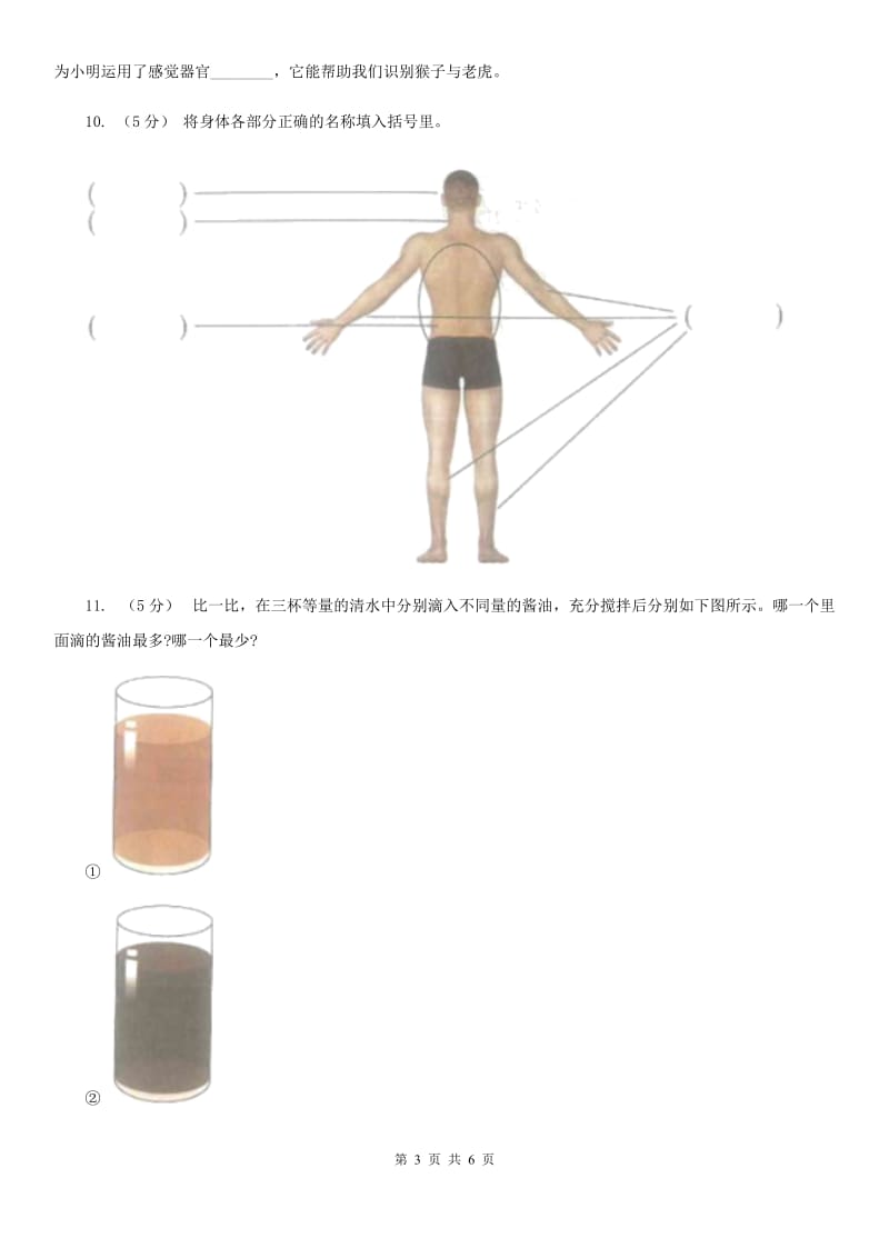 教科版小学科学二年级下册第二单元达标测试_第3页