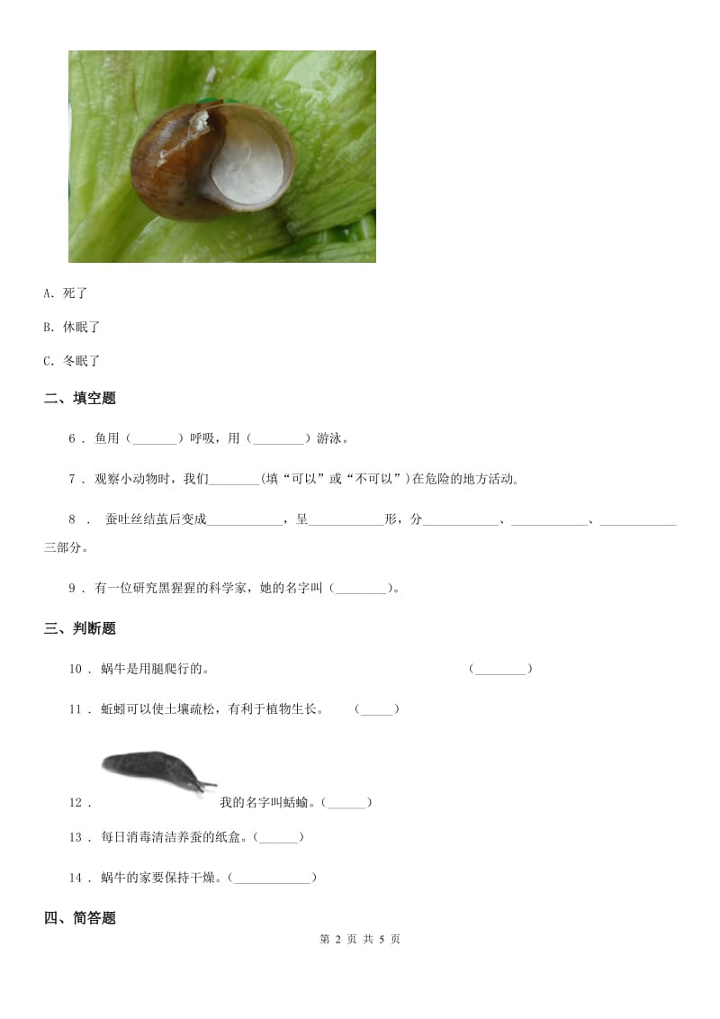 2019版教科版科学三年级上册2.5 蚂蚁练习卷D卷_第2页