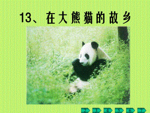 《在大熊猫的故乡》PPT课件