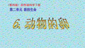 四年級(jí)下冊(cè)科學(xué)課件 -2.6 動(dòng)物的卵｜教科版 (共45張PPT)