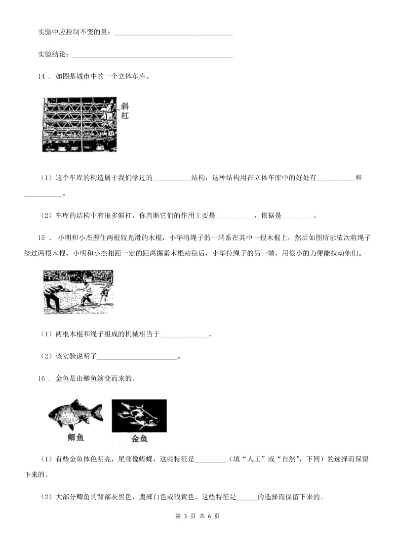 教科版科学六年级上册滚动测试（十七）_第3页