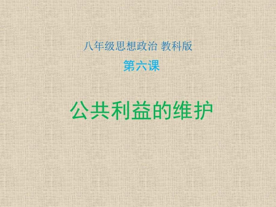 《公共利益的維護(hù)》PPT課件_第1頁(yè)