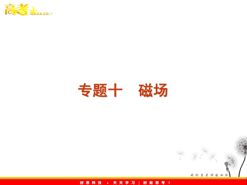 高考二轮三轮物理总复习专题案(粤教版)专题十　磁场_第2页