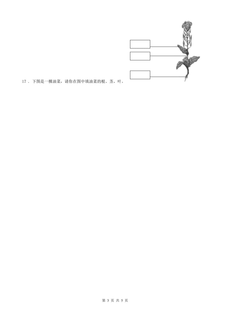 2020年（春秋版）教科版三年级上册期末测试科学试卷B卷_第3页