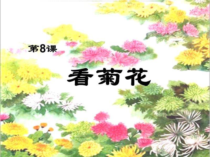 《公园里的菊花好》PPT课件_第1页