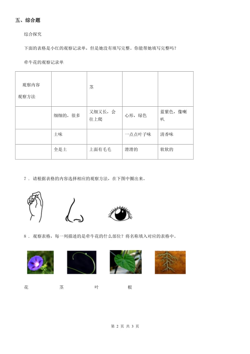 2020年教科版科学一年级上册1.2 观察一棵植物练习卷（I）卷_第2页