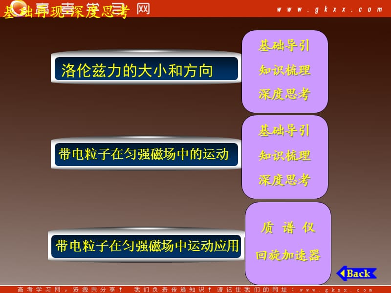 高三物理一轮复习专题：《磁场对运动电荷的作用》_第3页