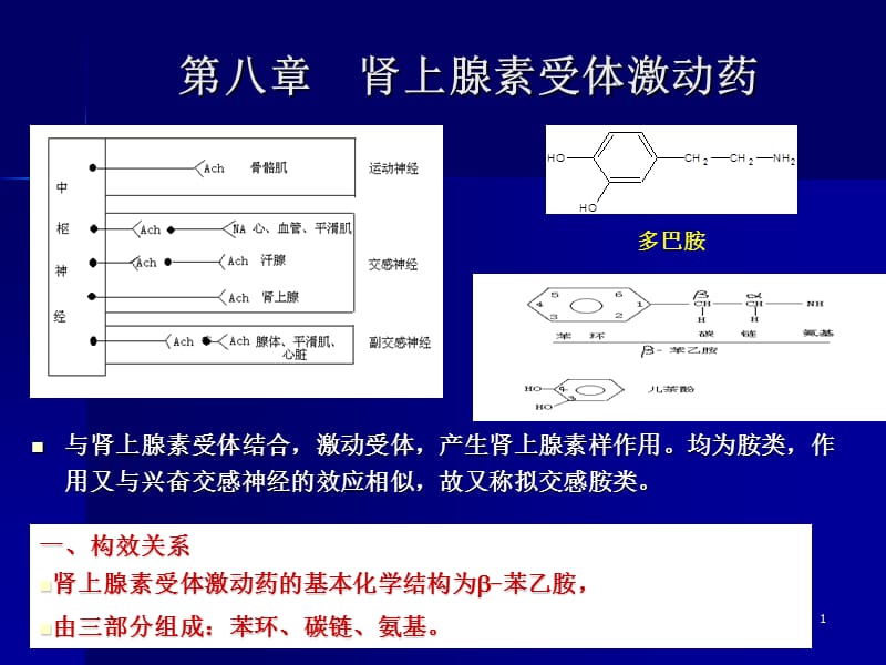 《腎上腺素受體藥》PPT課件_第1頁