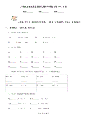 人教版五年級(jí)上學(xué)期語(yǔ)文期末專項(xiàng)復(fù)習(xí)卷（一）B卷