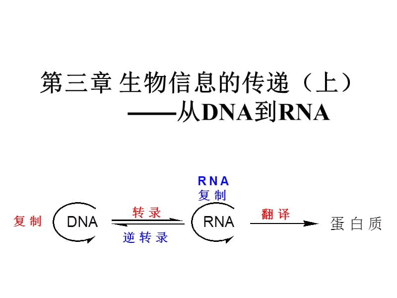 《生物信息的传递》PPT课件_第1页