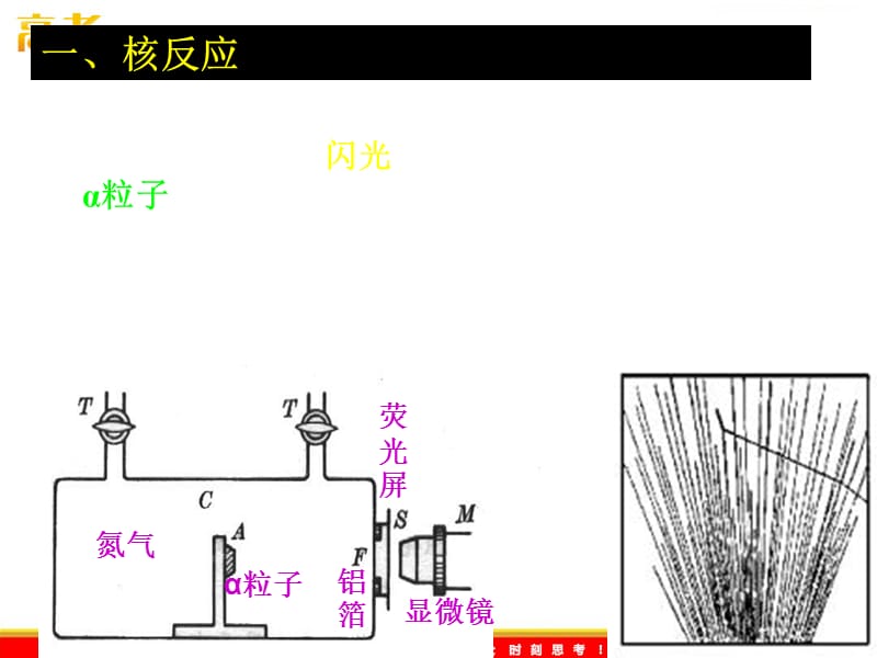 物理：3.3《放射性的应用、危害与防护》课件（教科版选修3-5）_第3页