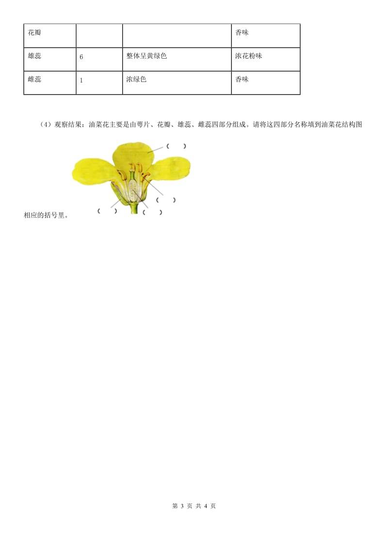 教科版科学一年级上册1.4 这是谁的叶练习卷_第3页