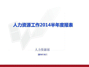 2014年人力资源半年度报表(格式模板)