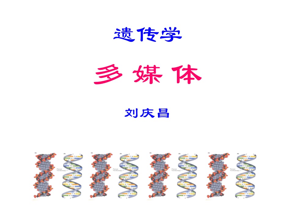 《遗传学幻灯》PPT课件_第1页