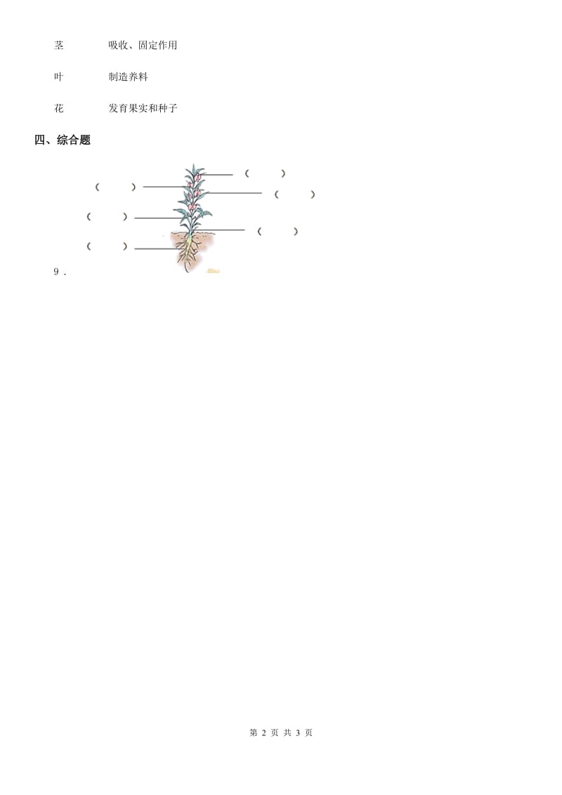 教科版科学一年级上册4.这是谁的叶_第2页