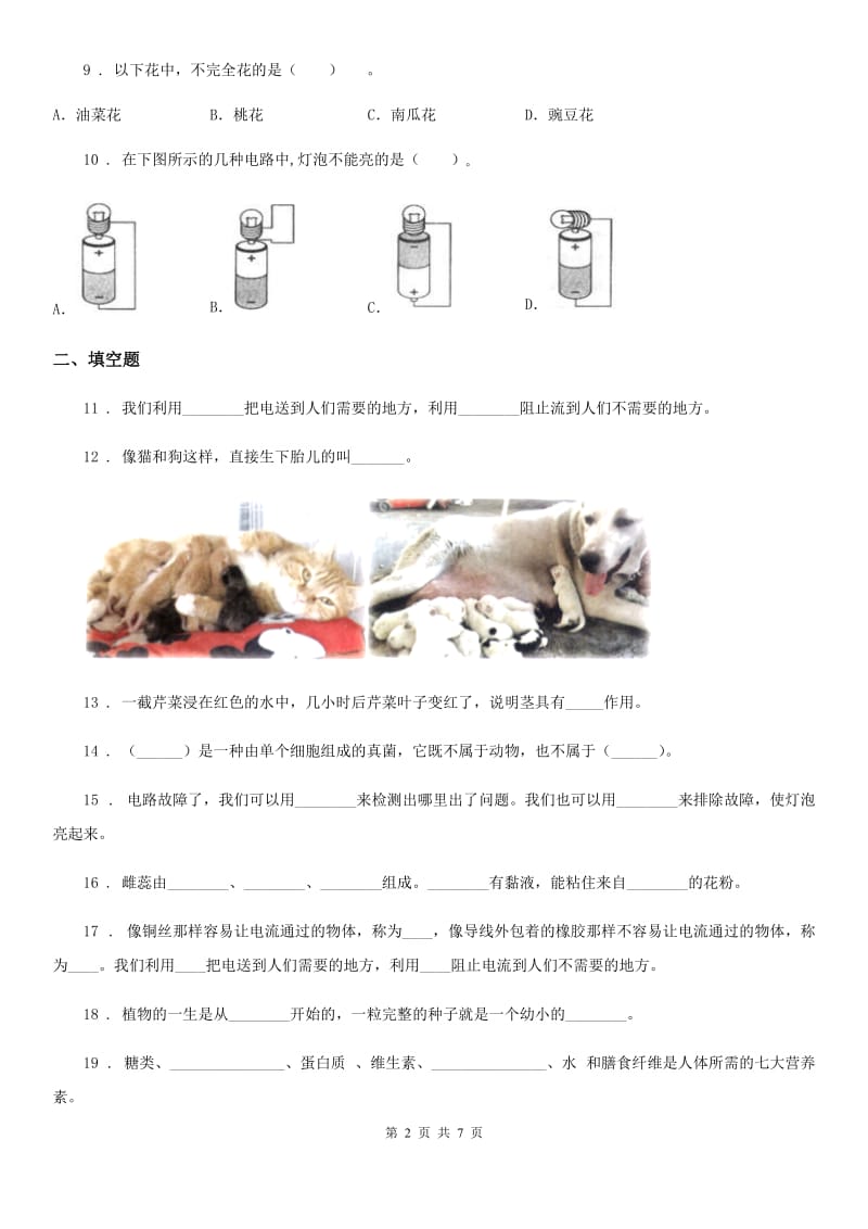 2020年教科版四年级下册期末考试科学试卷A卷_第2页