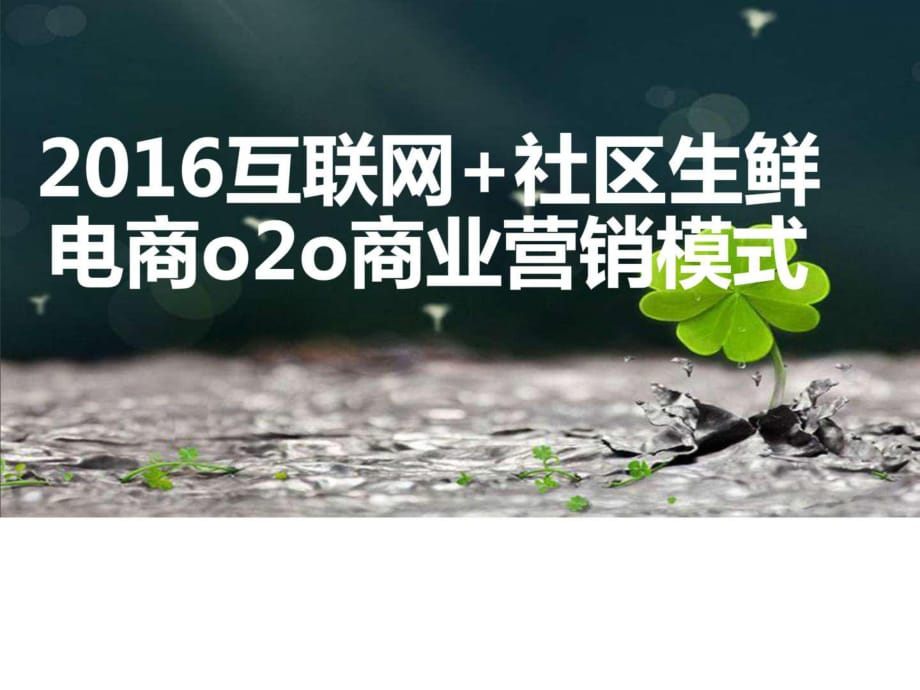 2016互聯(lián)網(wǎng) 創(chuàng)新創(chuàng)業(yè)社區(qū)生鮮電商o2o平臺商業(yè)營銷運營_第1頁