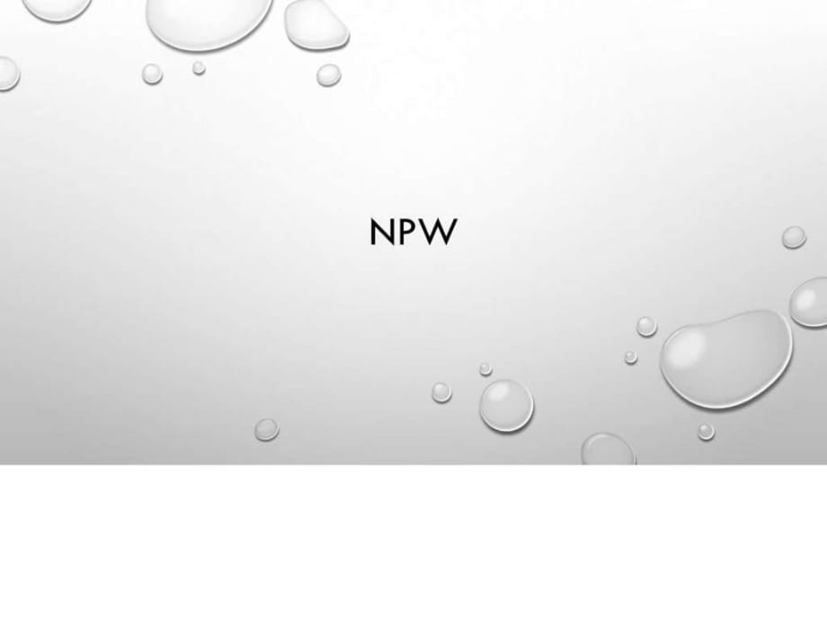 NPW东风生产方式_第1页