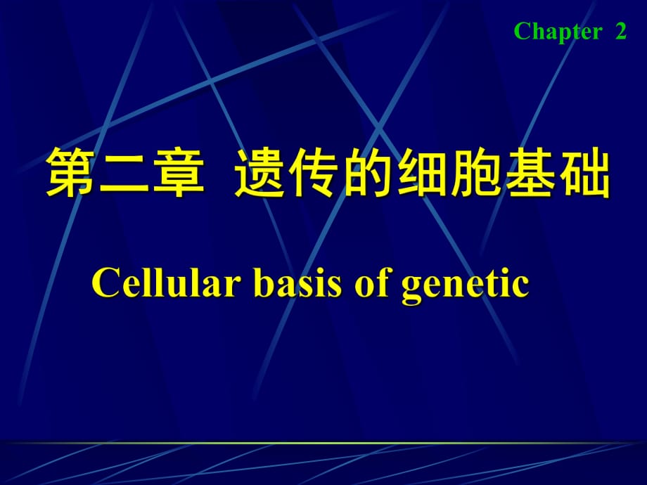 《遺傳的細胞基礎(chǔ)》PPT課件_第1頁