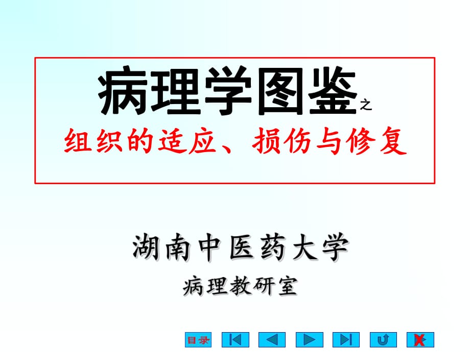 《適應(yīng)、損傷與修復(fù)》PPT課件_第1頁(yè)