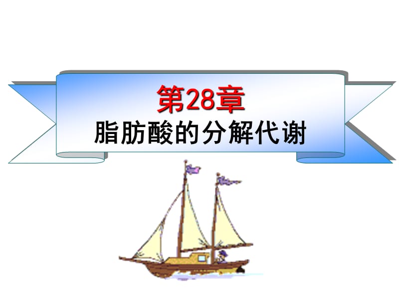 《脂類的分解代謝》PPT課件_第1頁